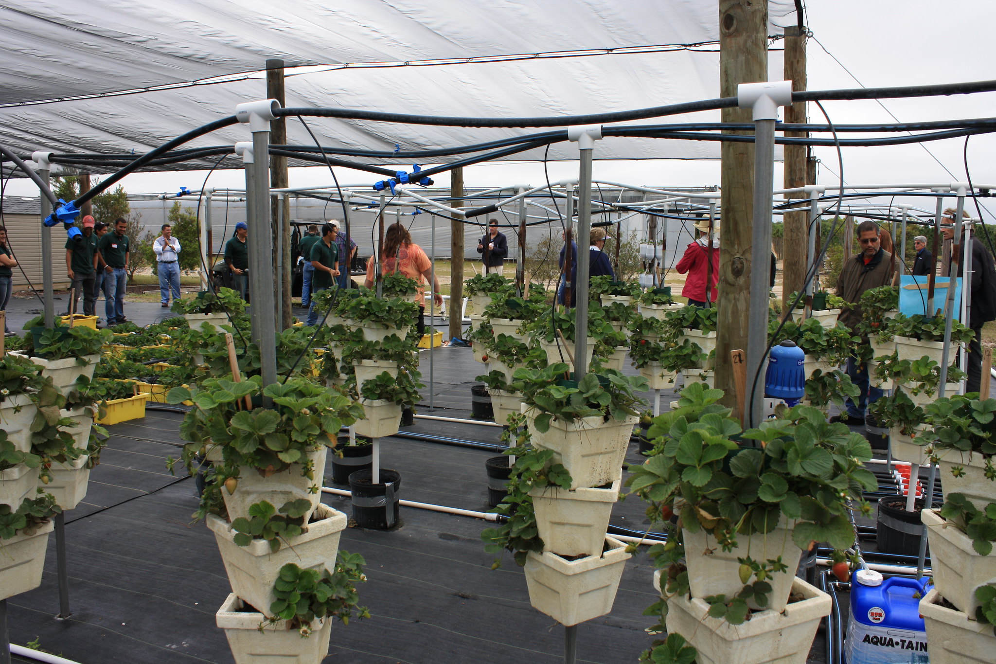 Agricultura Vertical